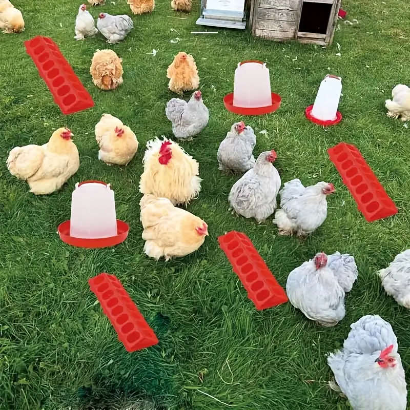 6-Piece Poultry Feeder Chicken Feeder and Drinker Set