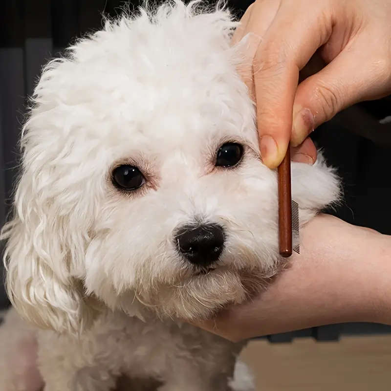Pet Comb