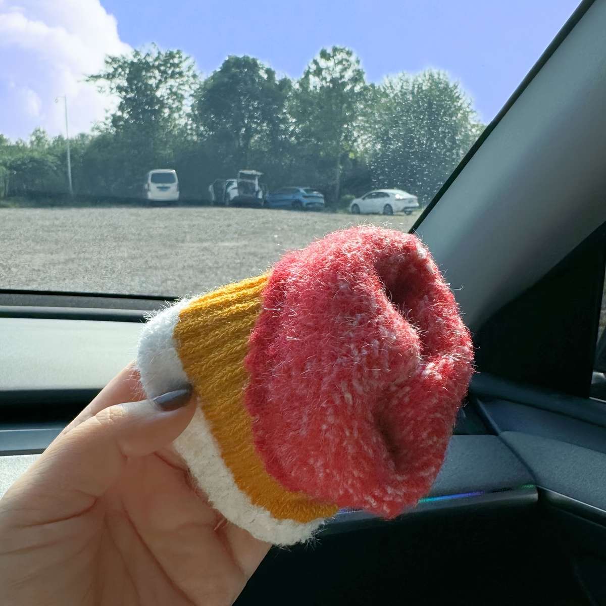 1 Pair Purple Warm Gloves