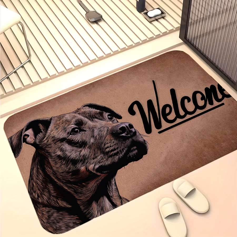 1Pc 4Ox12Ocm Floor Mat