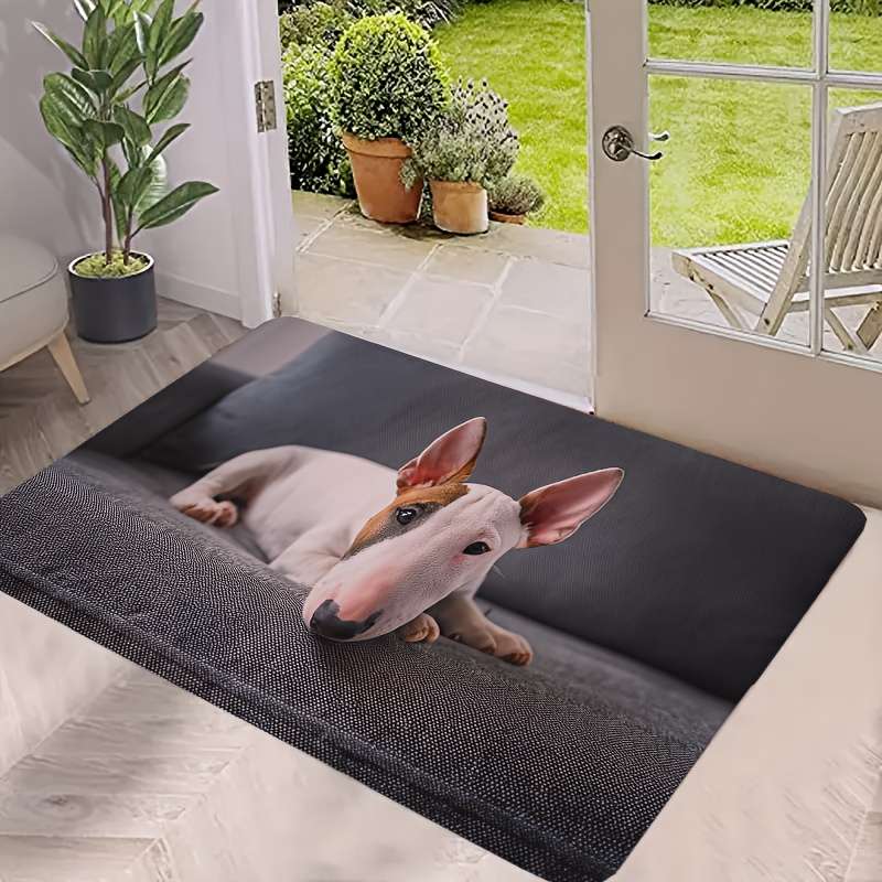 1Pc 23.62x35.43inch 60x90cm Floor Mat