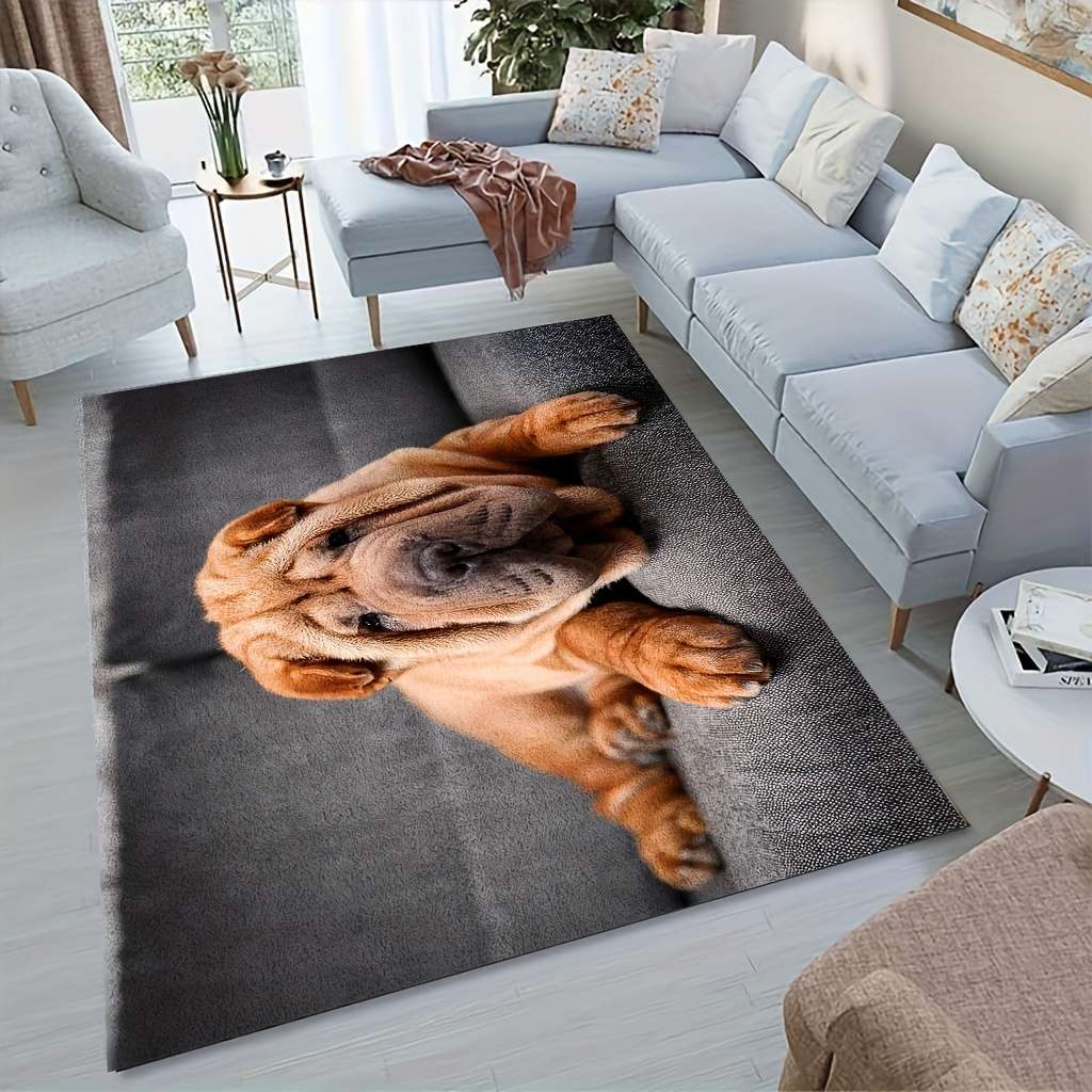 1Pc 4Ox6Ocm Floor Mat