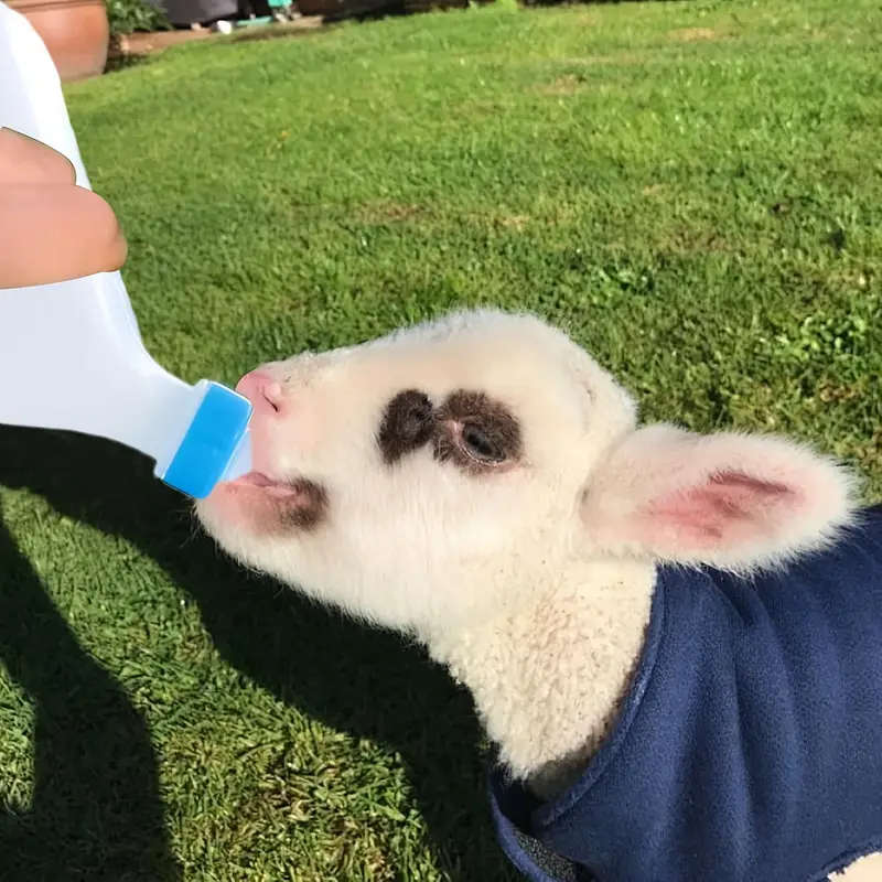 2 Pieces Portable Sheep Milk Bottle