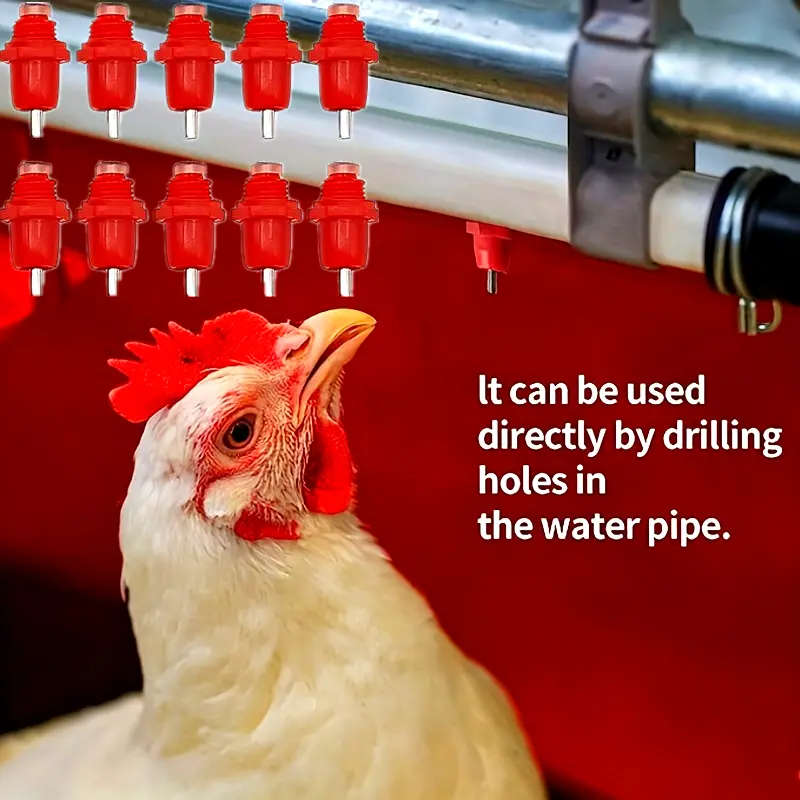 Automatic Chicken Waterer