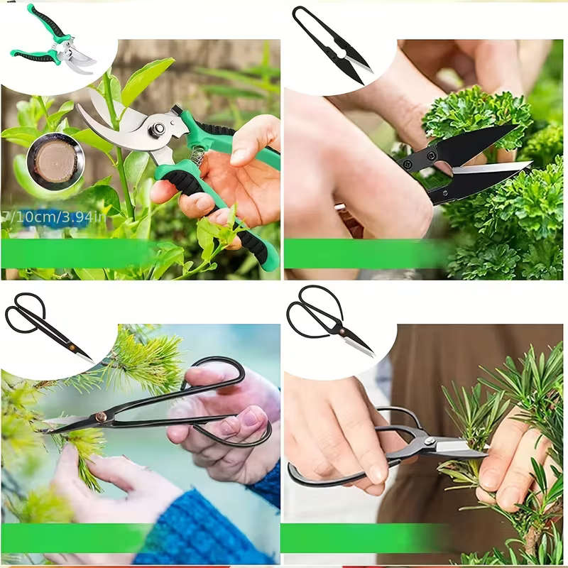 Bonsai Succulent Garden Tools Set