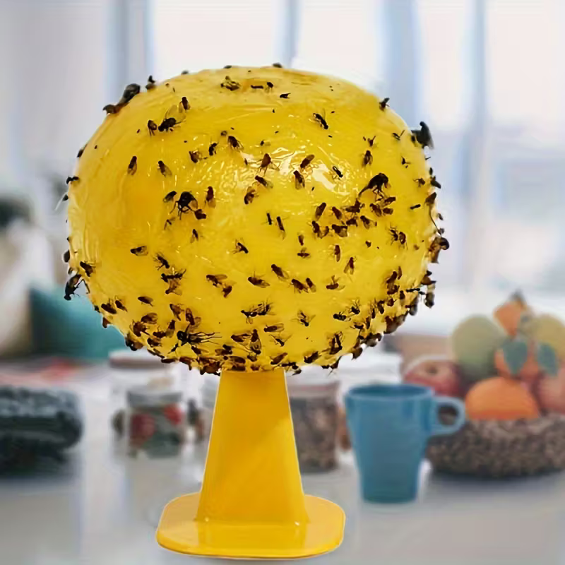 Fruit Fly Trap