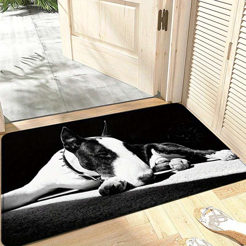 1Pc 40x60cm 15.74x23.62inch Floor Mat