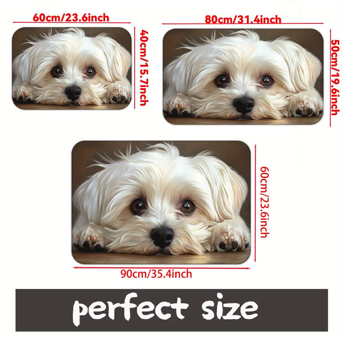 19.69x31.49inch 50x80cm Floor Mat