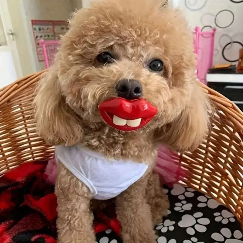 Dog Chew Toys