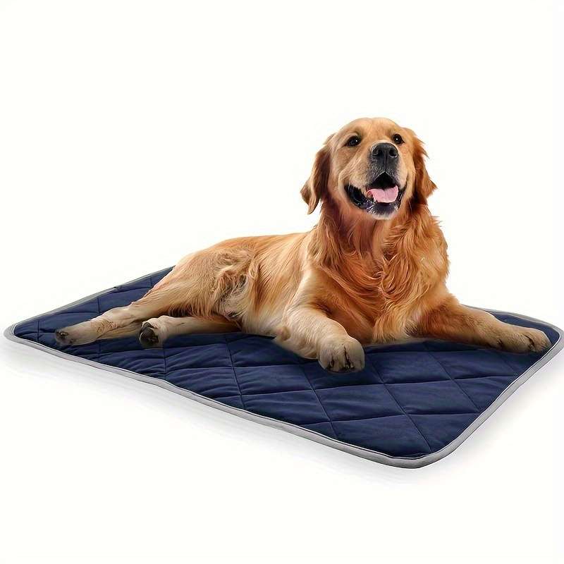 Pet Mat Blue Size Medium 48x70cm 19x28Inch