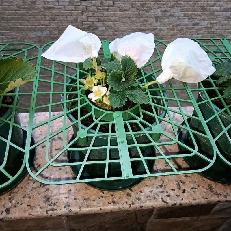 Premium Gardening Tool Set