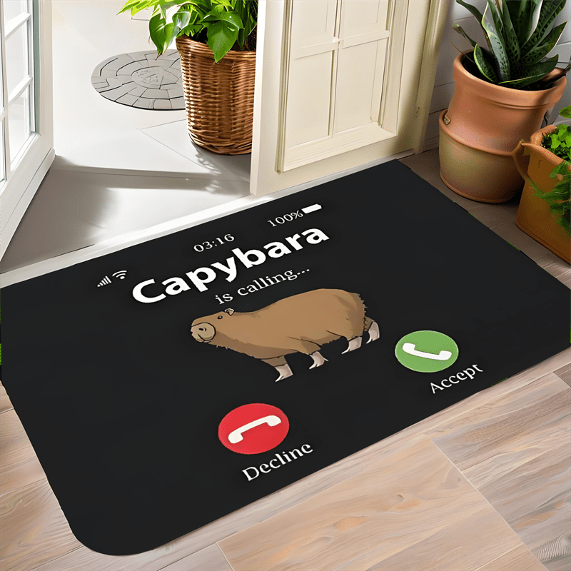 15.74x23.62inch 40x60cm Floor Mat