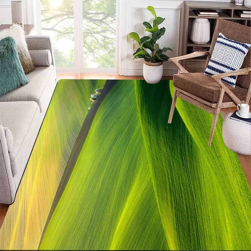 1Pc 80x120cm Floor Mat