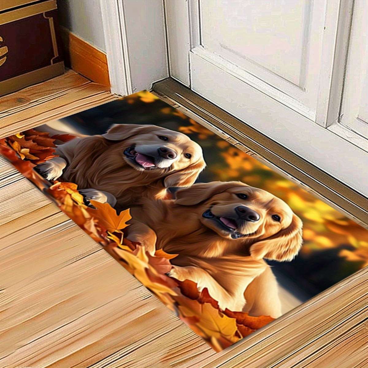 1Pc 40x60cm Floor Mat