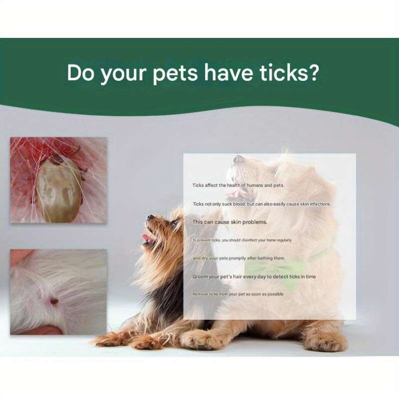 Olive Green Bug Catcher Pet Comb