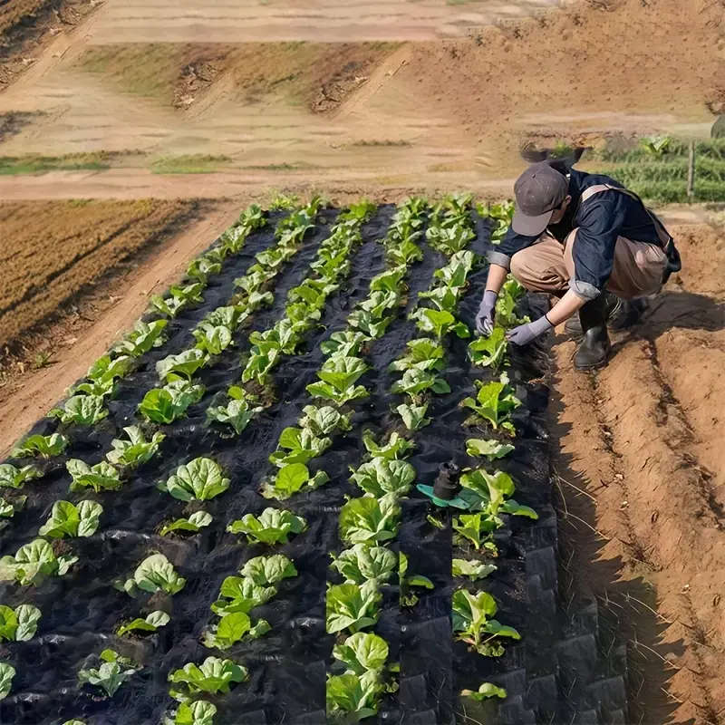 Garden Breathable Perforated Weed Control Cloth