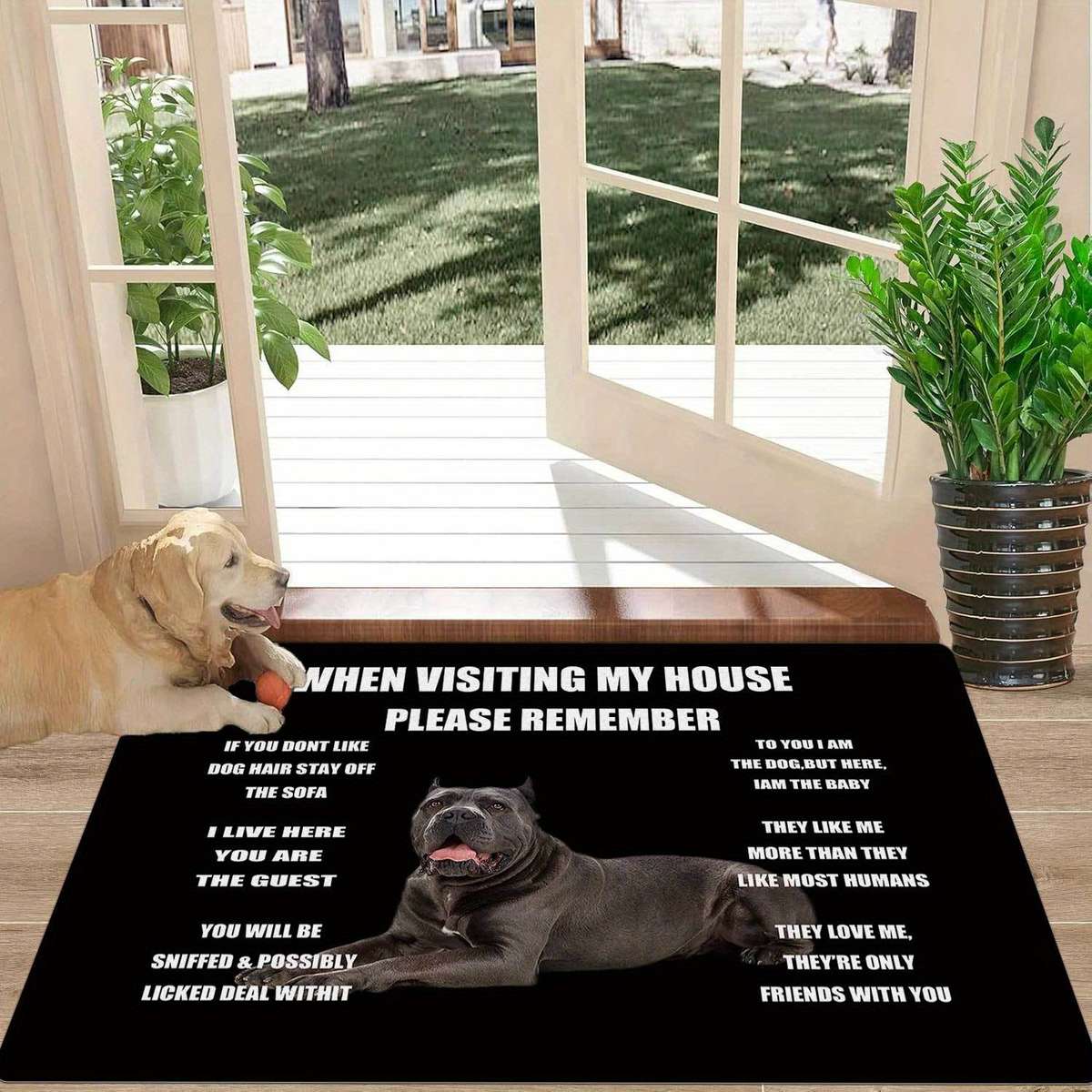 1Pc 80x120cm 31x47inch Floor Mat