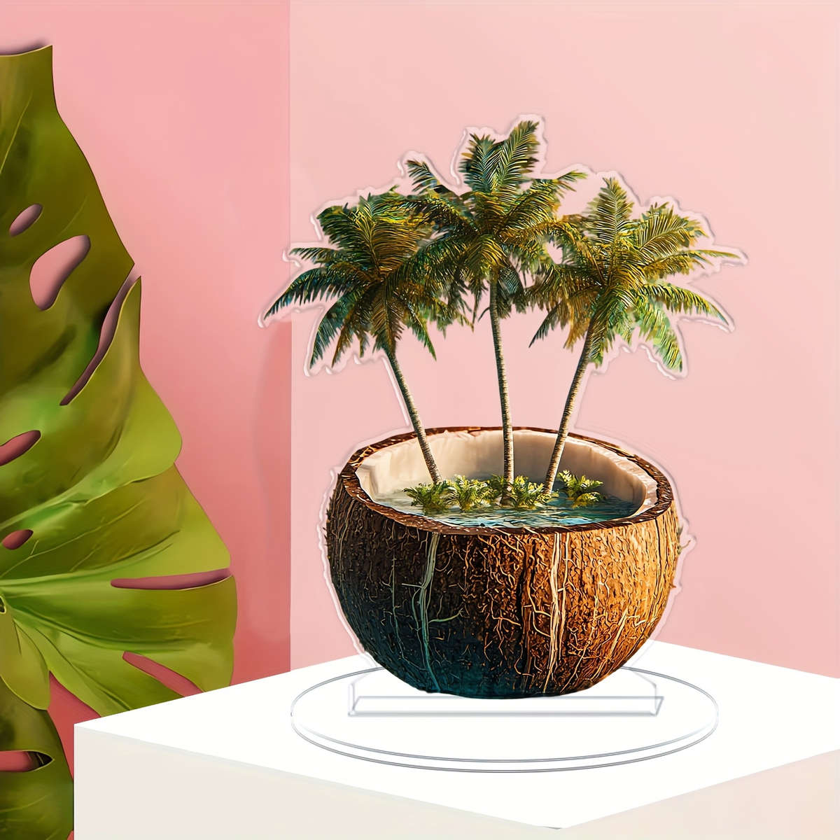 2D Flat Acrylic Coconut Shell Planter With Palm Tree Design Clear Decorative Desktop