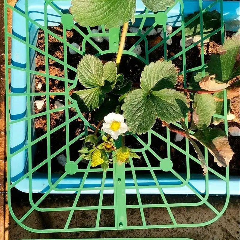 Premium Gardening Tool Set