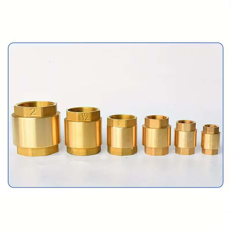 1 Piece Brass Check Valve With Npt Internal Thread
