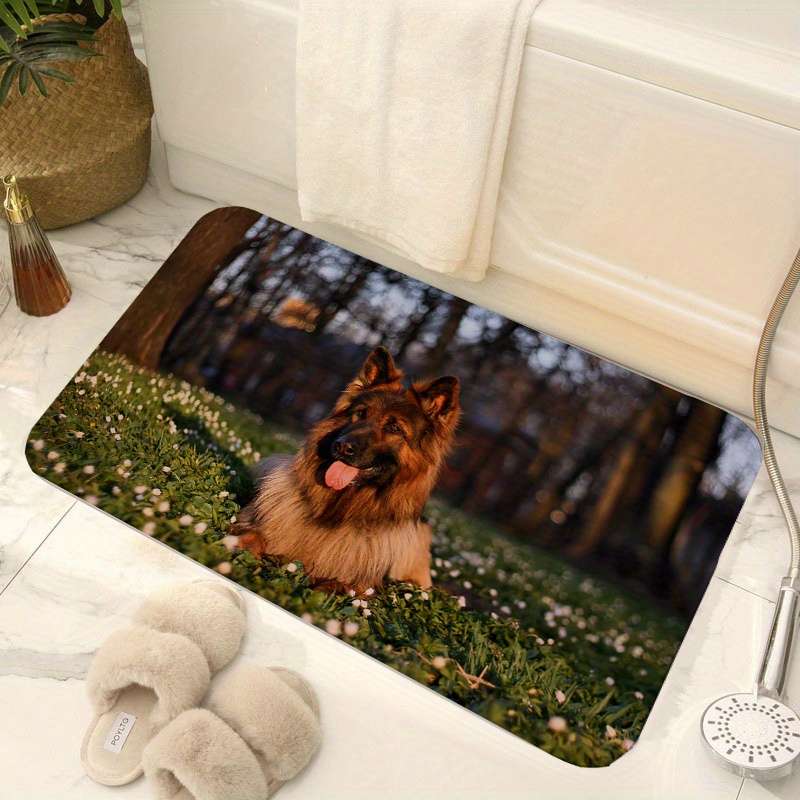 1Pc 40x60cm 15.75x23.62inch Floor Mat