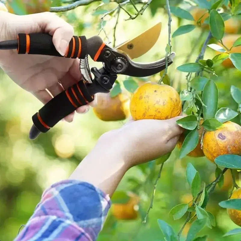 2-Piece 8.5" Professional Titanium Bypass Pruners