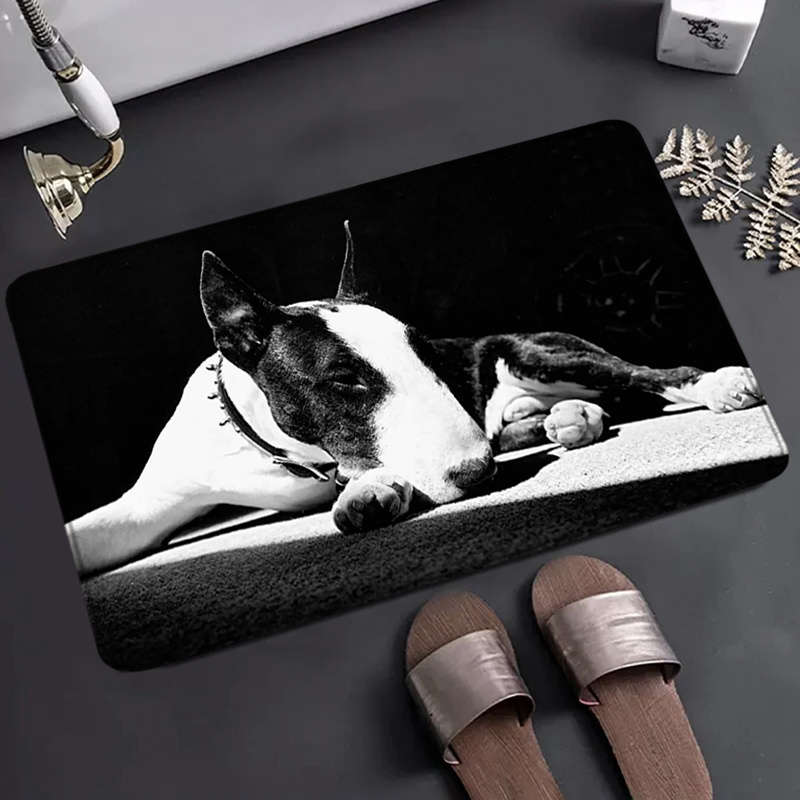 1Pc 40x60cm 15.74x23.62inch Floor Mat