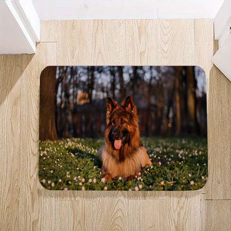 1Pc 40x60cm 15.75x23.62inch Floor Mat