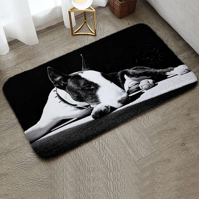 1Pc 40x60cm 15.74x23.62inch Floor Mat