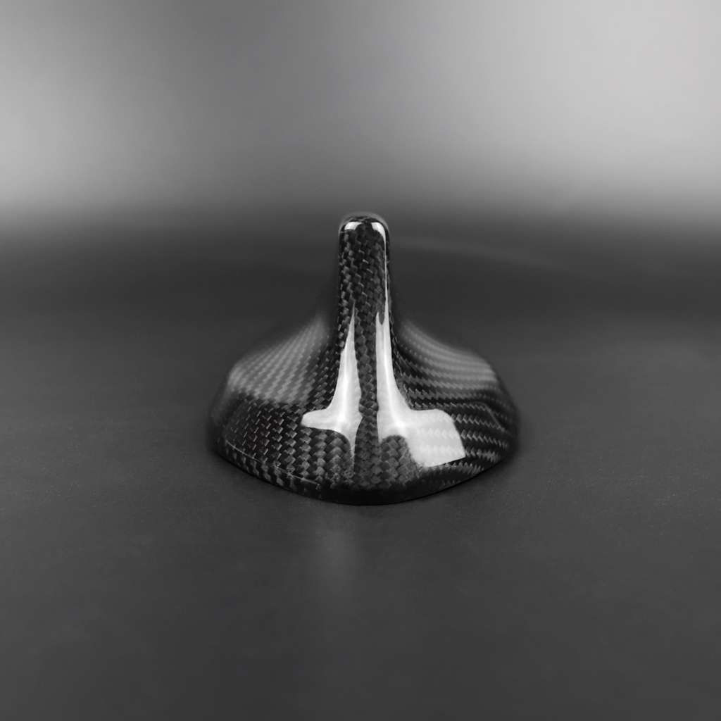 Car Carbon Fiber Antenna Decorative Cover for BMW