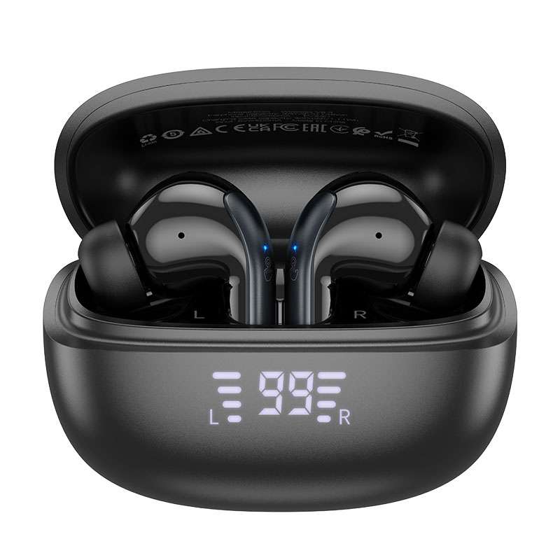 hoco EQ5 True Wireless ANC+ENC Dual Noise Reduction Bluetooth Earphone(Black)