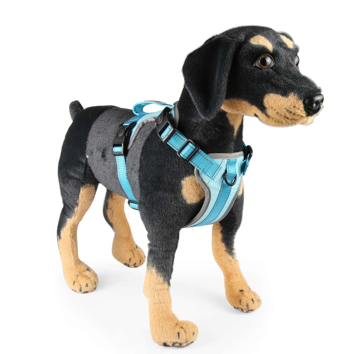 FunAdd Traction Rope Reflective Breathable Nylon Pet Vest Dog Harness, Size: M (Blue)