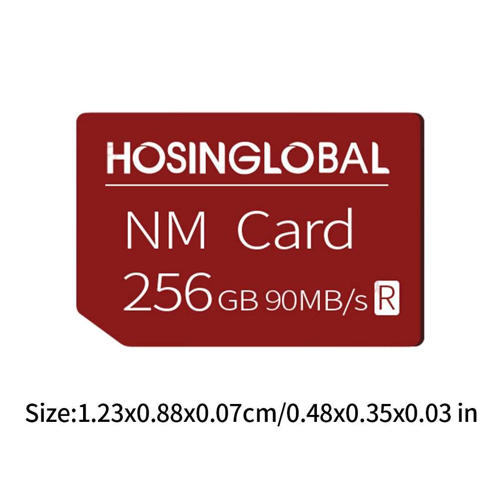 HOSINGLOBAL 90MB/s 256GB NM Card