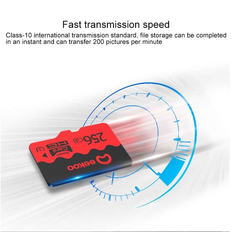 eekoo 256GB U3 TF(Micro SD) Memory Card, Minimum Write Speed: 30MB / s, Flagship Version