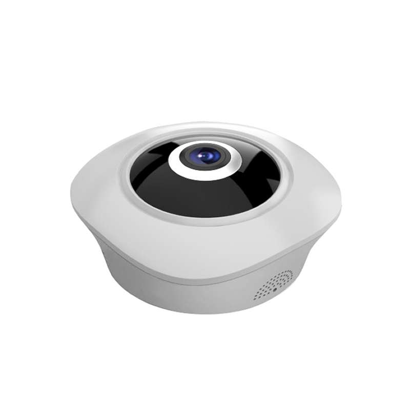 DTS-F3 1.44mm Lens 1.3 Megapixel 360 Degree Infrared IP Camera, Support Motion Detection & E-mail