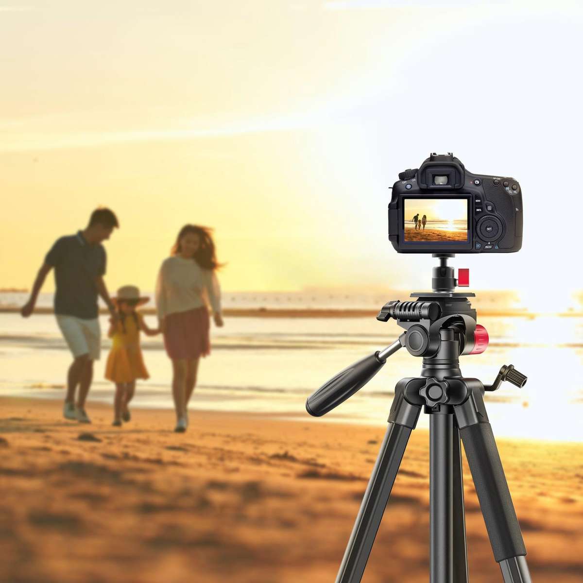Mini 360 Degree Rotation Panoramic Metal Ball Head Mount Base(Black)