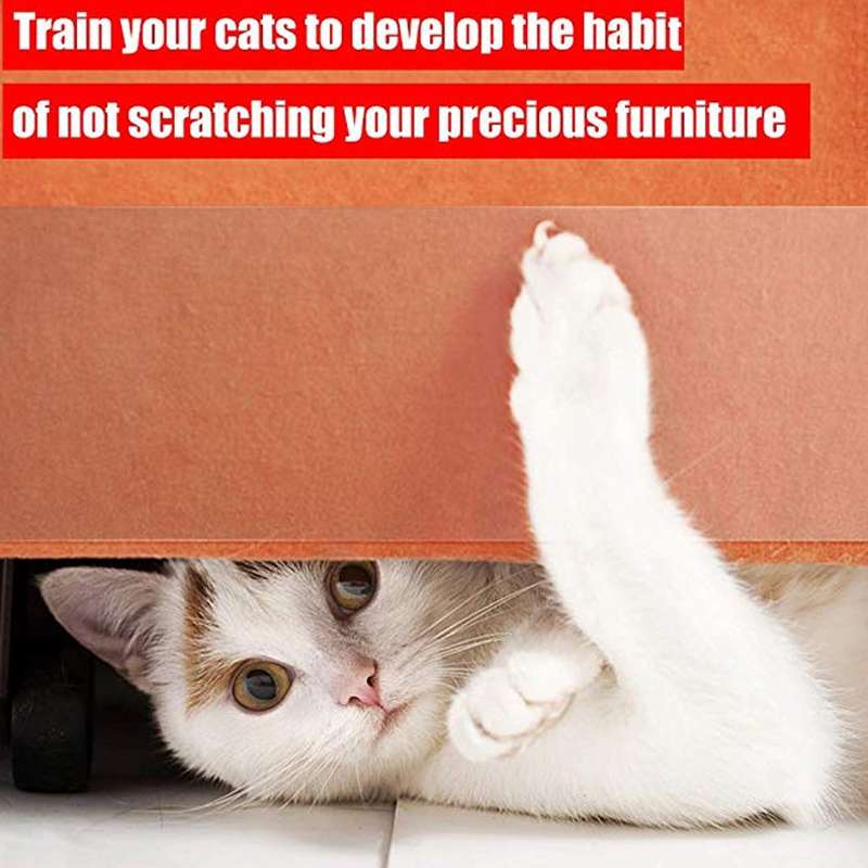 Ctlang B25112 Pet Sofa Protective Tape Cats Anti-Caught Protective Gear Film, Specificatio ... (L)