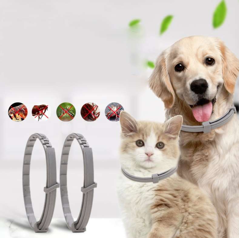 Pet Flea & Anti-Lice Collar Pet In Vitro Insect Repellent Ring, Size:Small Dog/38cm