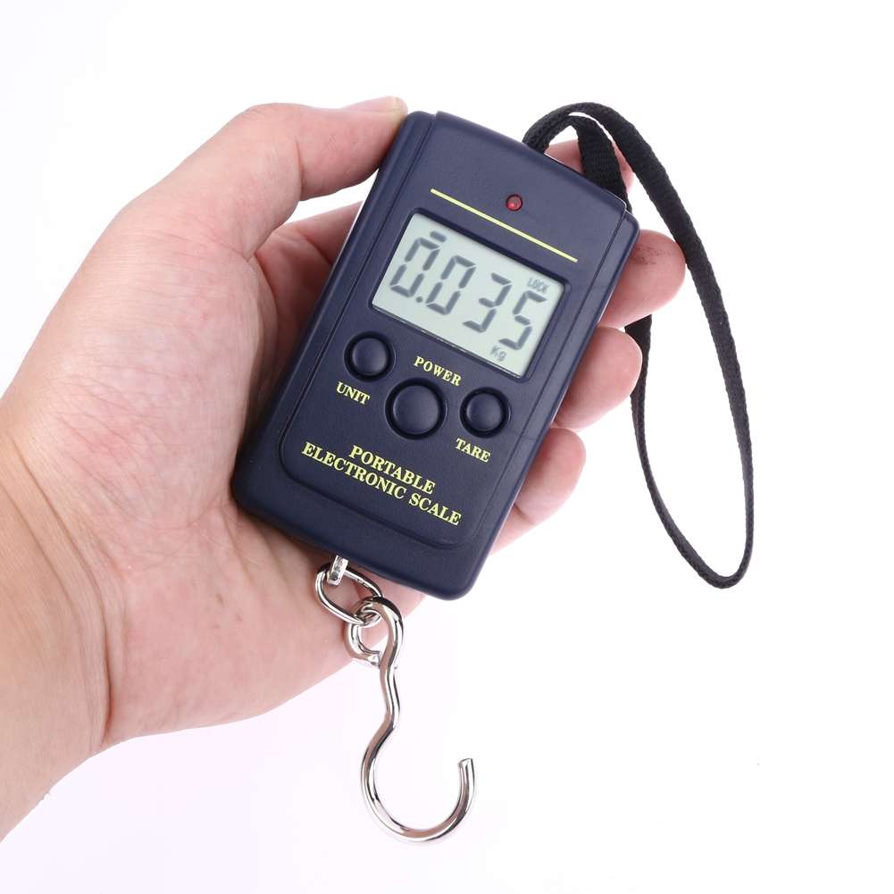 10g Mini Digital Fishing Scale Travel Weighting Steelyard Hanging Electronic ... without backlight