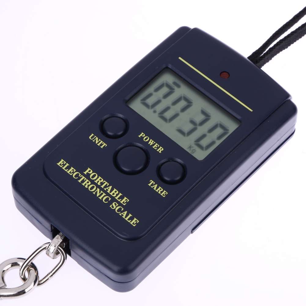 10g Mini Digital Fishing Scale Travel Weighting Steelyard Hanging Electronic ... without backlight