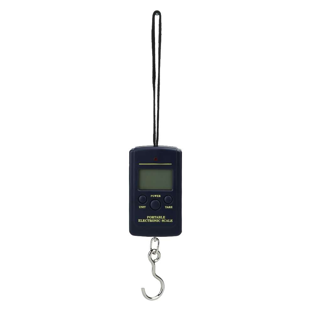10g Mini Digital Fishing Scale Travel Weighting Steelyard Hanging Electronic ... without backlight