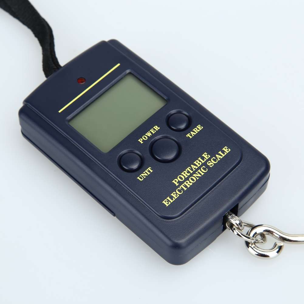 10g Mini Digital Fishing Scale Travel Weighting Steelyard Hanging Electronic ... without backlight