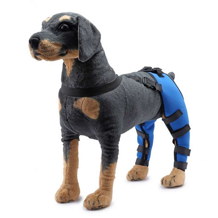Pet Dog Leg Knee Guard Surgery Injury Protective Cover, Size: M(Blue)