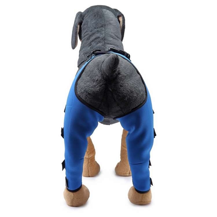 Pet Dog Leg Knee Guard Surgery Injury Protective Cover, Size: M(Blue)