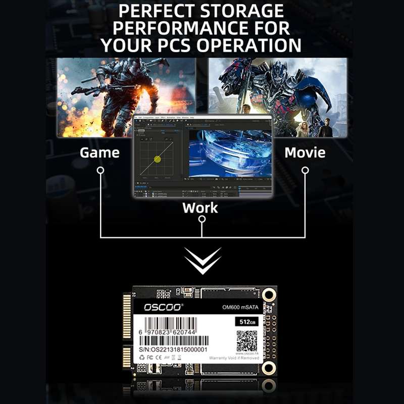 OSCOO OM600 MSATA Computer Solid State Drive, Capacity: 256GB