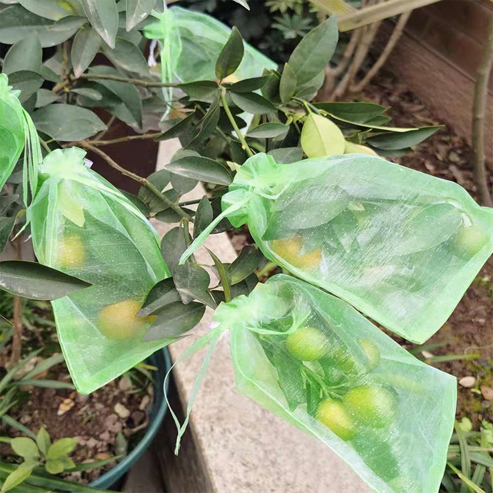 100pcs /Pack Fruit Protection Bag Anti-Insect And Anti-Bird Net Bag 7 x 9cm(Pink)