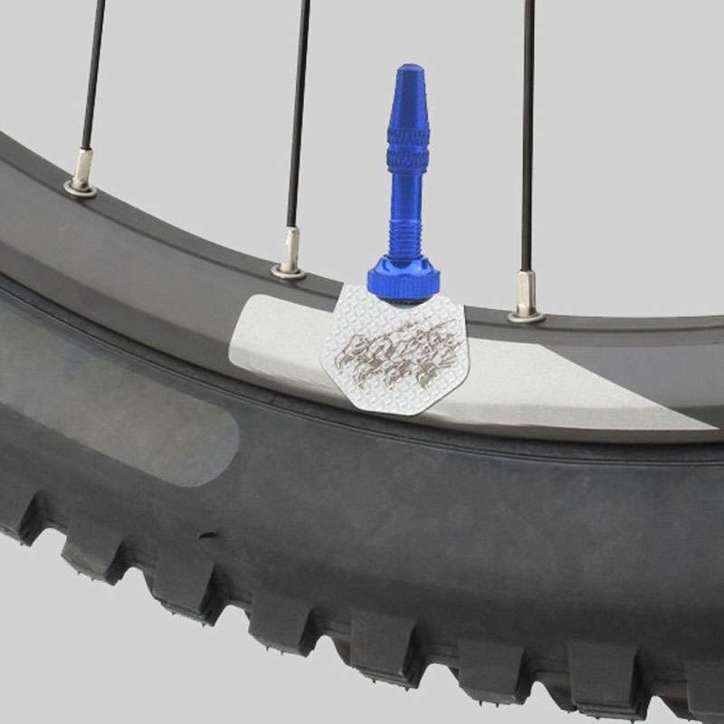 ENLEE E-Q234 1pair Bicycle Universal Valve Stickers Bike Touring Wheel Decorative Stri ... I Model