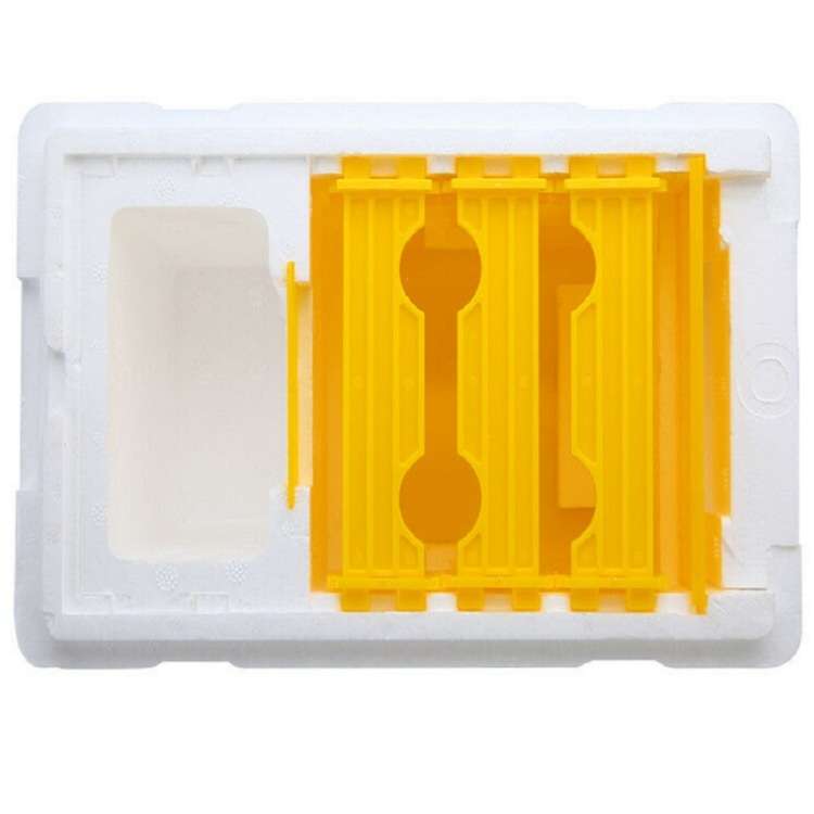 Bee Heading Box Foam Breeding Box Pollination Box