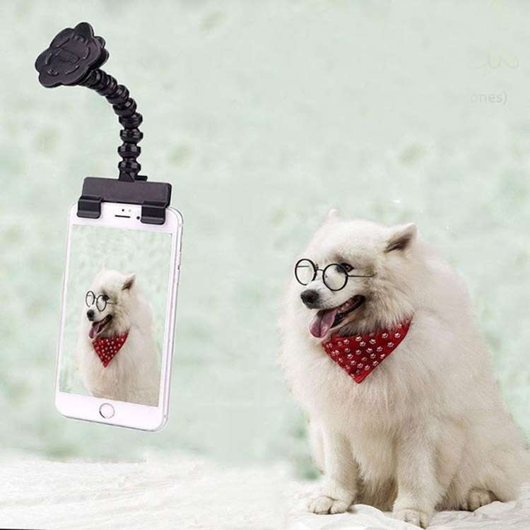 Pet Camera Artifact Dog Cat Looking At Camera Phone Clip(White)