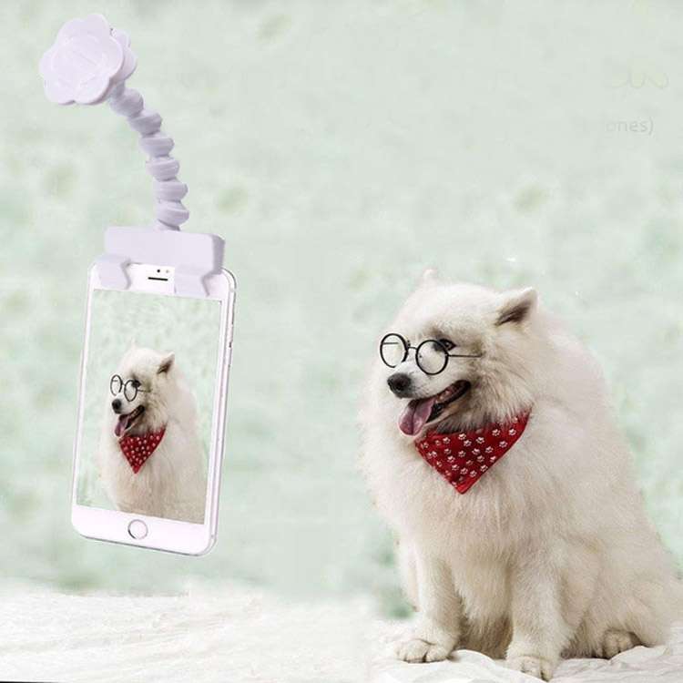 Pet Camera Artifact Dog Cat Looking At Camera Phone Clip(White)